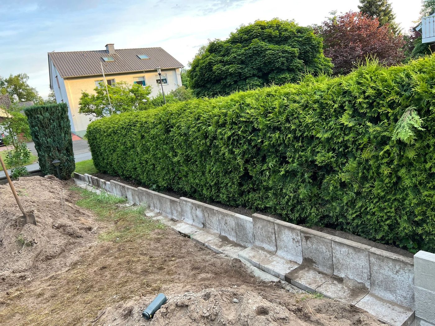 Hecke mit neuer Entwässerungsrinne